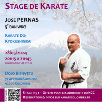 Stage Karate José Pernas 2024 05 28