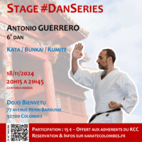 Stage Karate #DanSeries 2024-11-18